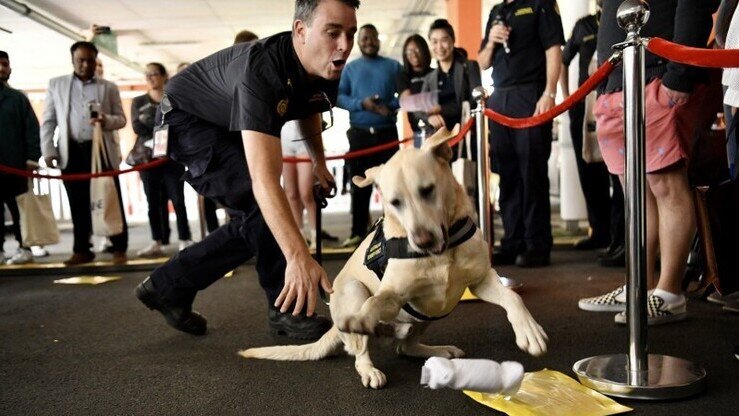 BNE Careers Expo Takes Off!