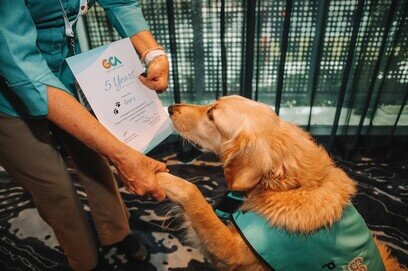 Gold Coast Airport Celebrates Volunteer Milestones on National Volunteer Week