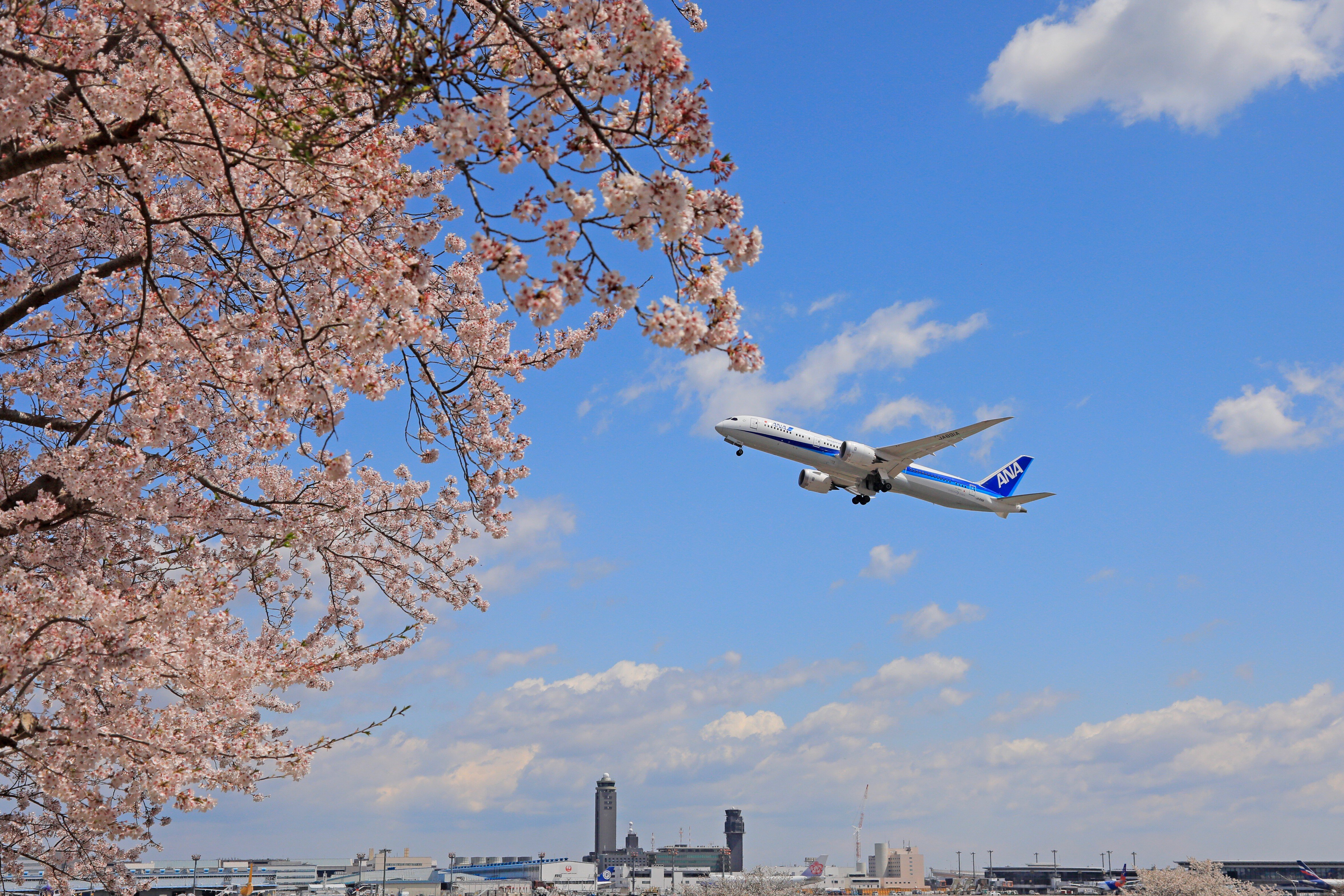 Narita Airport 