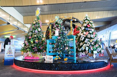 Wellington Airport, The Great Beings, New Zealand Airports 