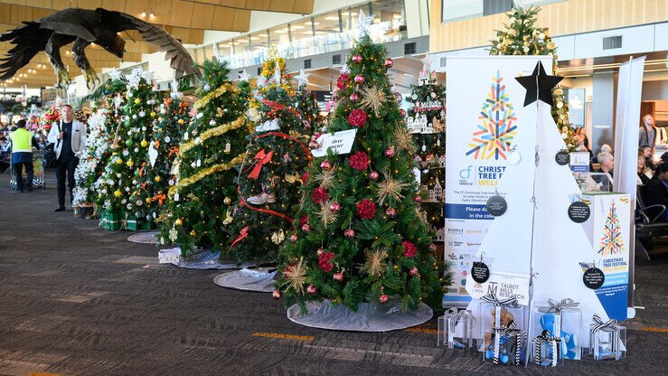 Wellington Airport, The Great Beings, New Zealand Airports 