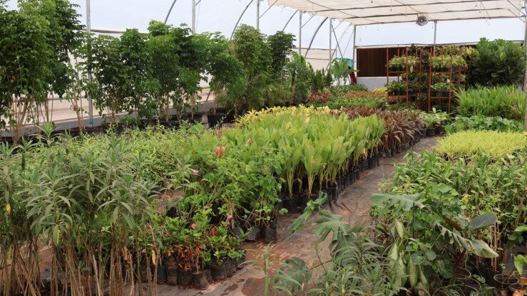 Mangaluru International Airport, Nursery, Sustainability, Environment, Adani Airports   