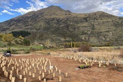 Queenstown Airport